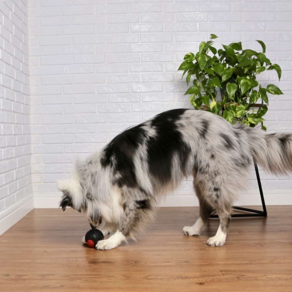 Brinquedo Bola Germanhart Superball Dual Color para Cães - Tam. G