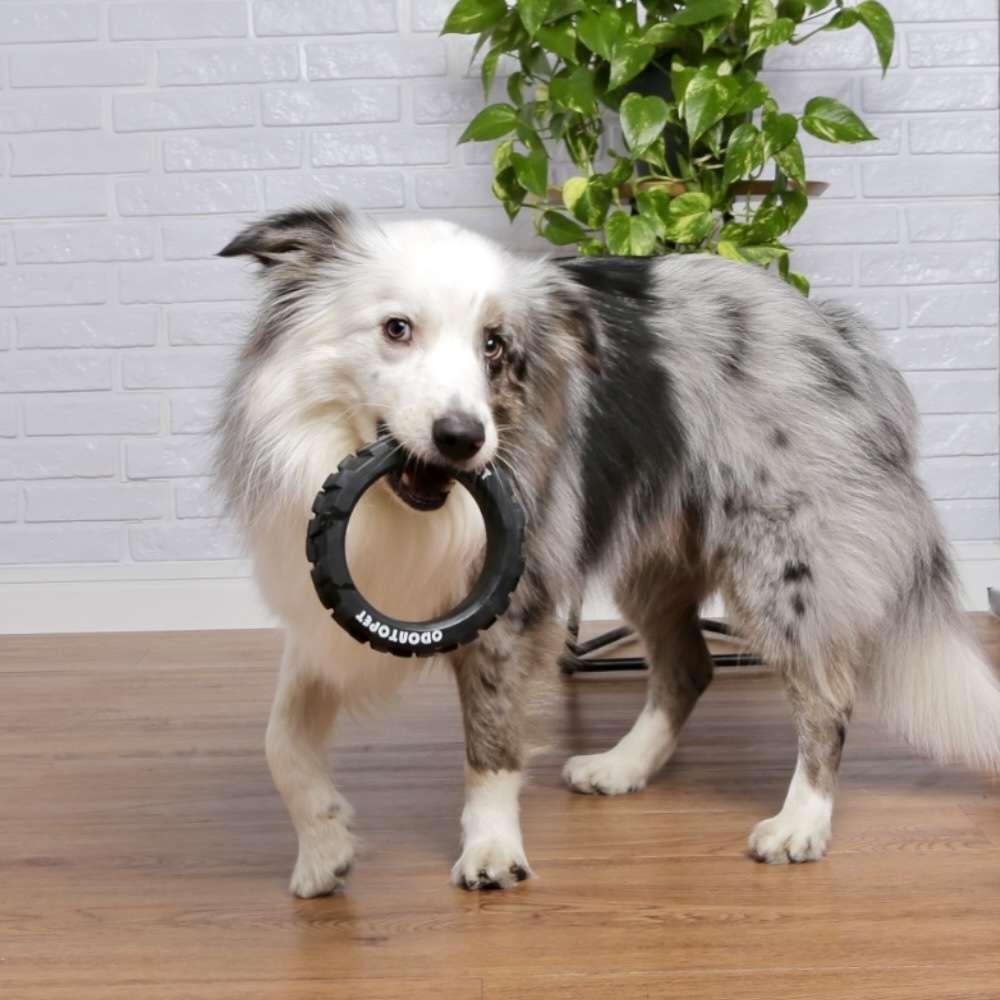 Brinquedo Odontopet Dental Pneu para Cães - Tam. G