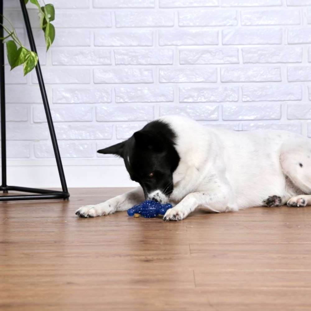 Brinquedo Odontopet Dental Spin para Cães - Tam. Único