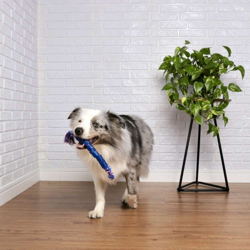 Brinquedo Odontopet Dental Tubo com Corda para Cães - Tam. G