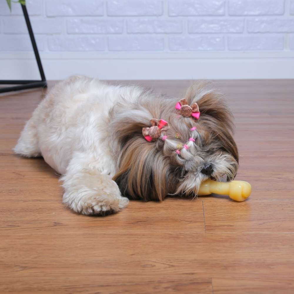 Brinquedo Odontopet Osso Dura Big Bone Nylon para Cães - Tam. P