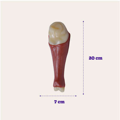 Brinquedo Odontopet Coxa Dura Big Nylon para Cães