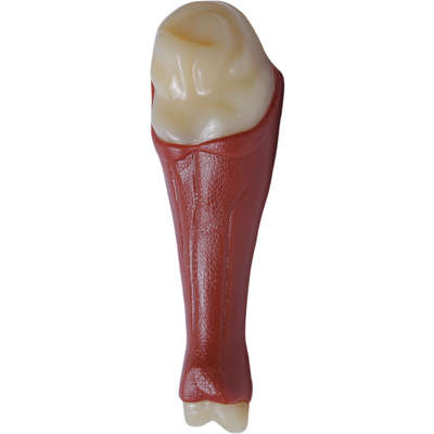 Brinquedo Odontopet Coxa Dura Big Nylon para Cães