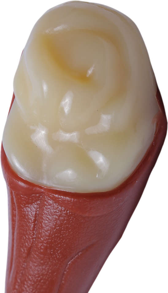 Brinquedo Odontopet Coxa Dura Big Nylon para Cães - Tam. Único