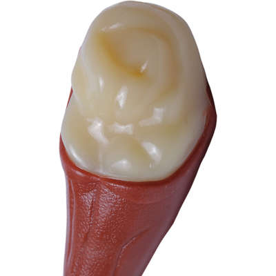 Brinquedo Odontopet Coxa Dura Big Nylon para Cães