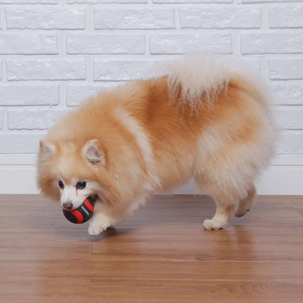 Brinquedo Bola Germanhart Ultraball com Apito para Cães - Tam. Único