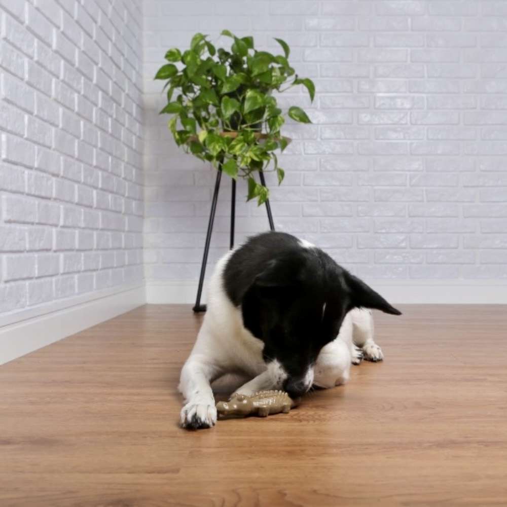 Brinquedo Mordedor Germanhart Jacaré para Cães - Tam. Único