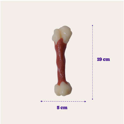 Brinquedo Odontopet Dura Femur Nylon para Cães