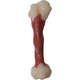 Brinquedo Odontopet Dura Femur Nylon para Cães