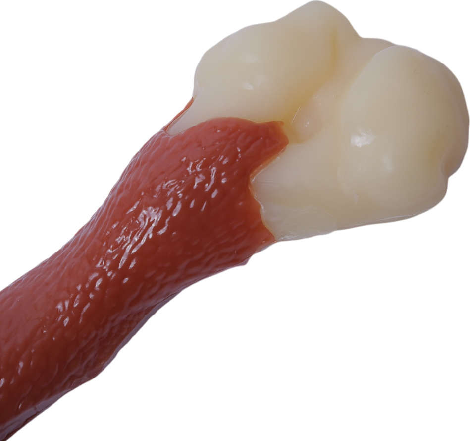 Brinquedo Odontopet Dura Femur Nylon para Cães - Tam. Único