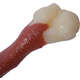 Brinquedo Odontopet Dura Femur Nylon para Cães