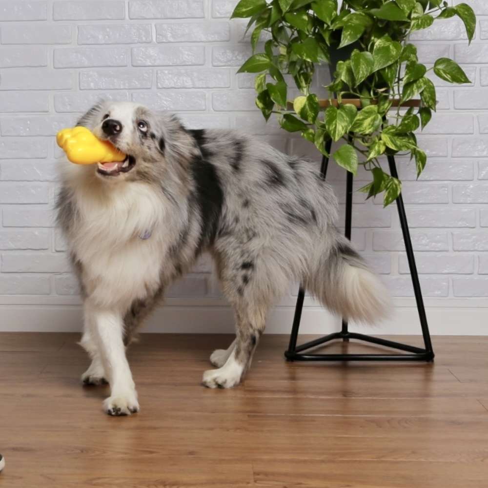 Brinquedo Interativo Germanhart Dogorila Porta Petisco para Cães - Tam. Único