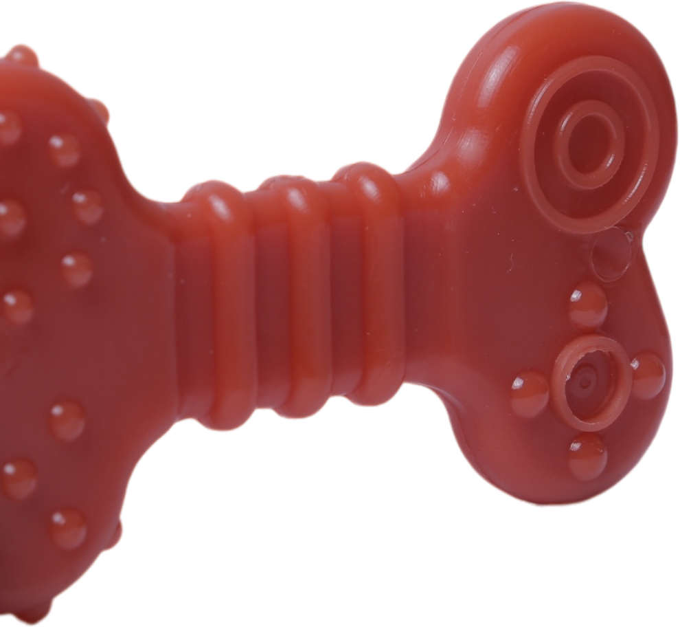 Brinquedo Odontopet Osso Dura Flat Nylon para Cães - Tam. G