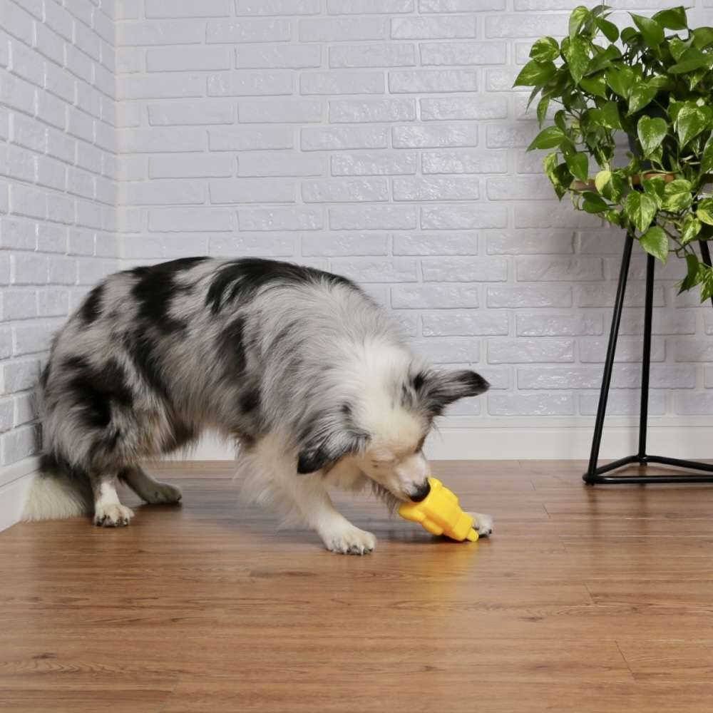 Brinquedo Interativo Germanhart Rinauceronte Porta Petisco para Cães - Tam. Único