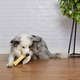 Brinquedo Odontopet Dura T.Bone Nylon para Cães