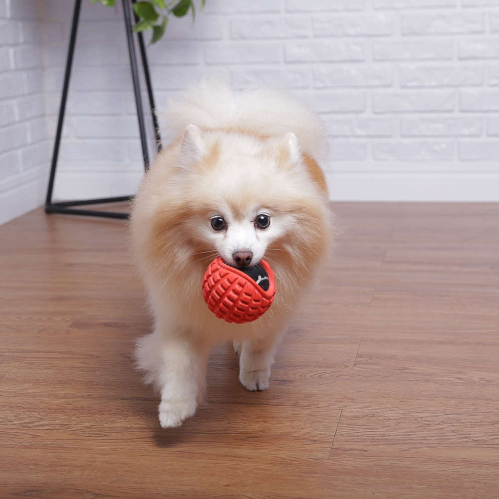 Brinquedo Germanhart Bola de Tênis com Capa para Cães - Tam. Único