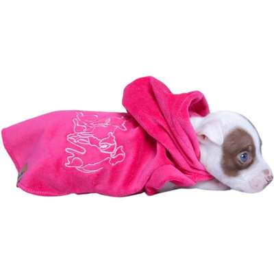 Moleton Pickorruchos Degradê Pink