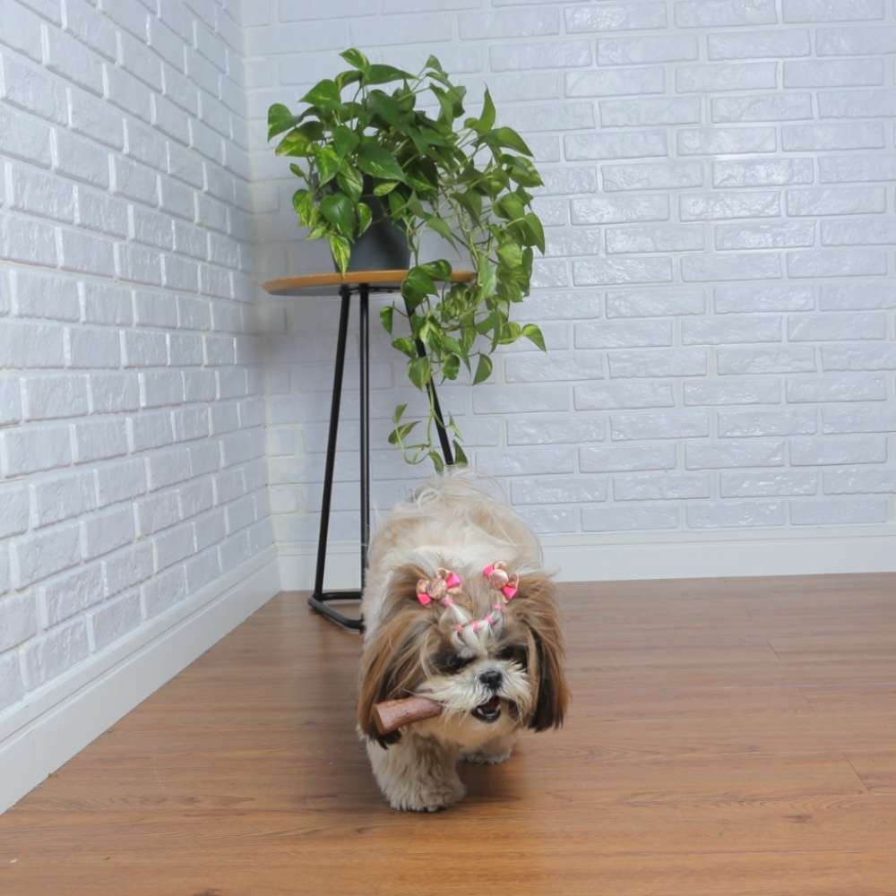 Brinquedo Odontopet Dura Tronco Nylon para Cães - Tam. M