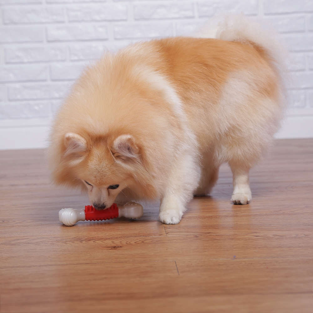 Brinquedo Odontopet Osso Advanced Oral Care para Cães - Tam. P