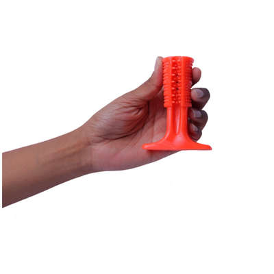 Brinquedo Odontopet Escova Advanced Oral Care Laranja para Cães