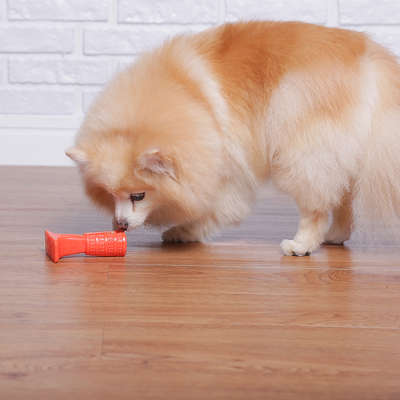 Brinquedo Odontopet Escova Advanced Oral Care Laranja para Cães