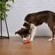 Brinquedo Odontopet Osso Big Bone Flexi Laranja para Cães