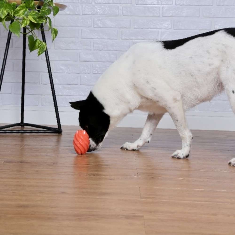 Brinquedo Odontopet Bola Americana Flexi Laranja para Cães - Tam. Único
