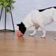 Brinquedo Odontopet Bola Americana Flexi Laranja para Cães