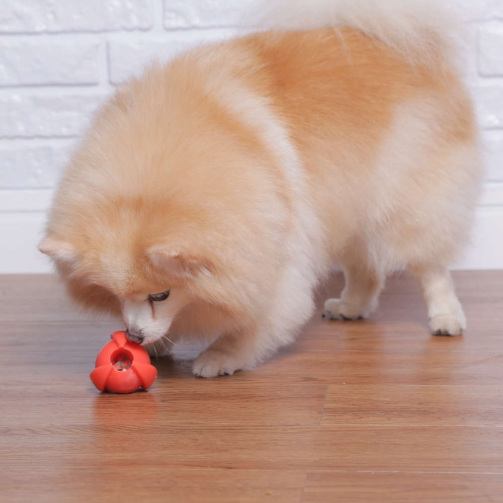 Brinquedo Odontopet Bola Americana Espacial Flexi Laranja para Cães - Tam. Único