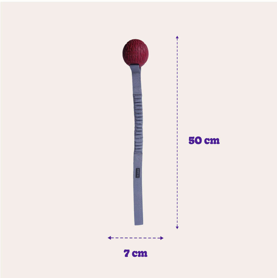 Brinquedo Mordedor Bungee Hangler Vermelho para Cães - Tam. Único
