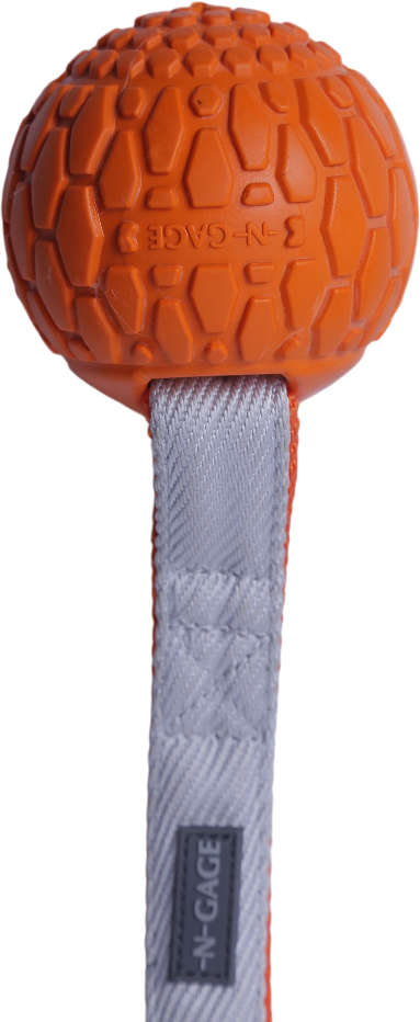 Brinquedo Mordedor Handler Laranja para Cães - Tam. Único