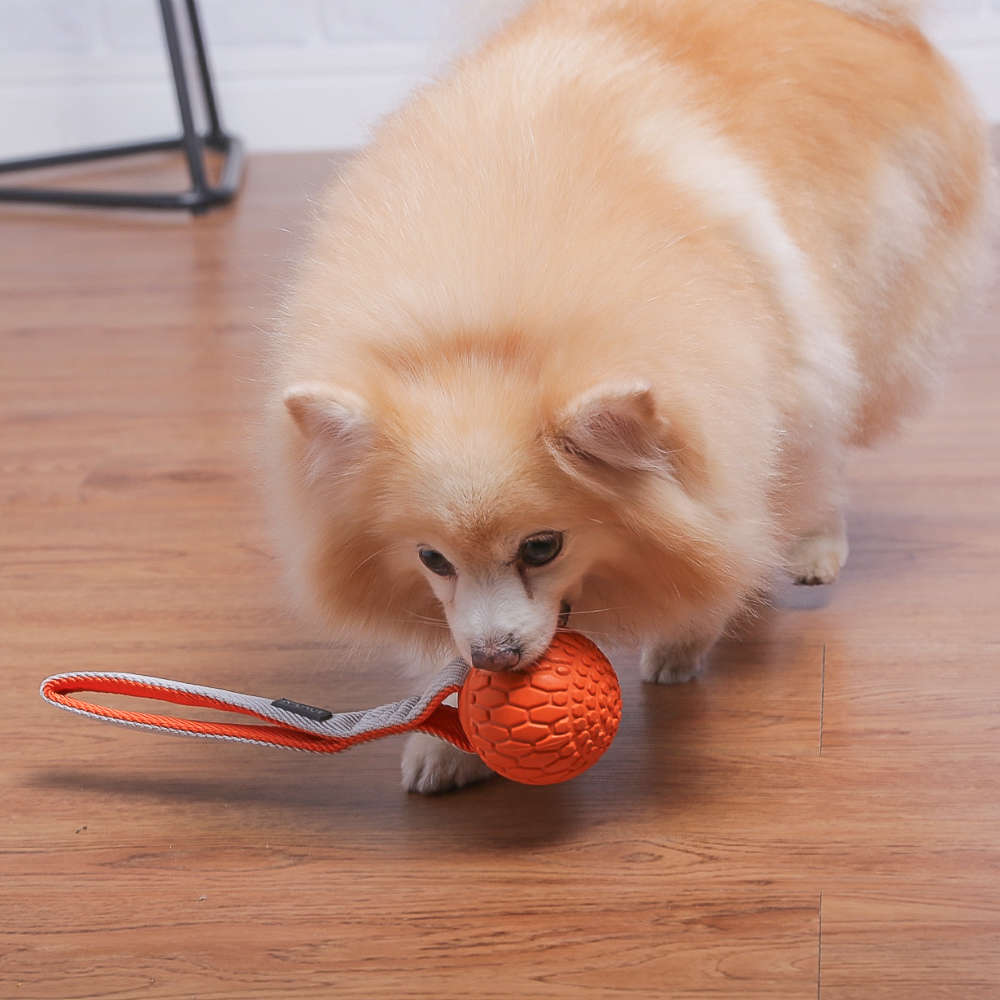 Brinquedo Mordedor Handler Laranja para Cães - Tam. Único