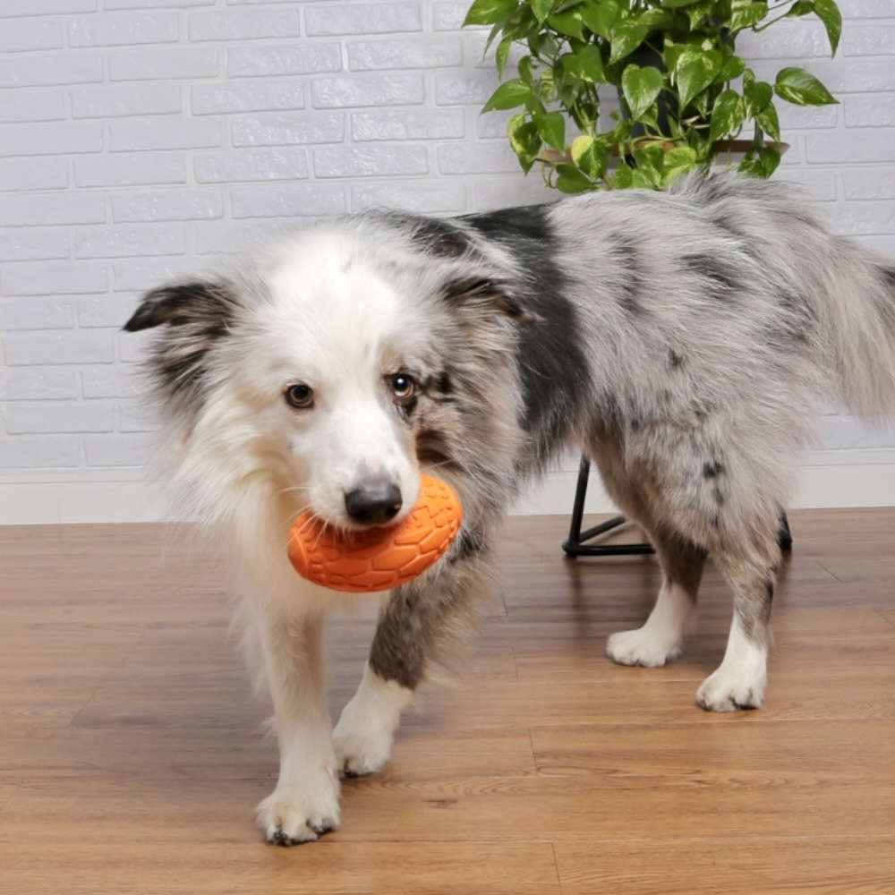 Brinquedo Mordedor Bola de Futebol Americano Laranja para Cães - Tam. G