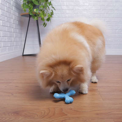 Brinquedo Odontopet Spinner Júnior Azul para Cães Filhotes