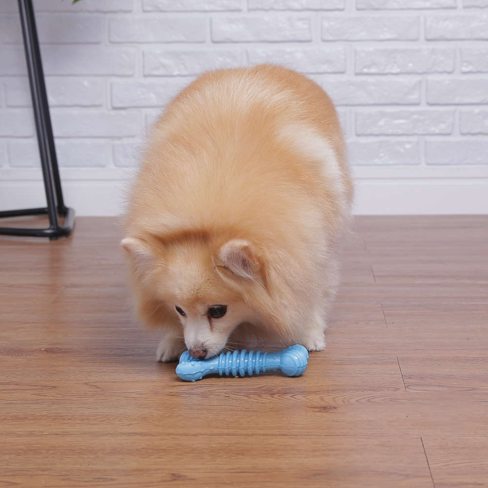 Brinquedo Odontopet Osso Júnior Azul para Cães Filhotes - Tam. Único