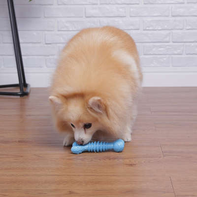 Brinquedo Odontopet Osso Júnior Azul para Cães Filhotes