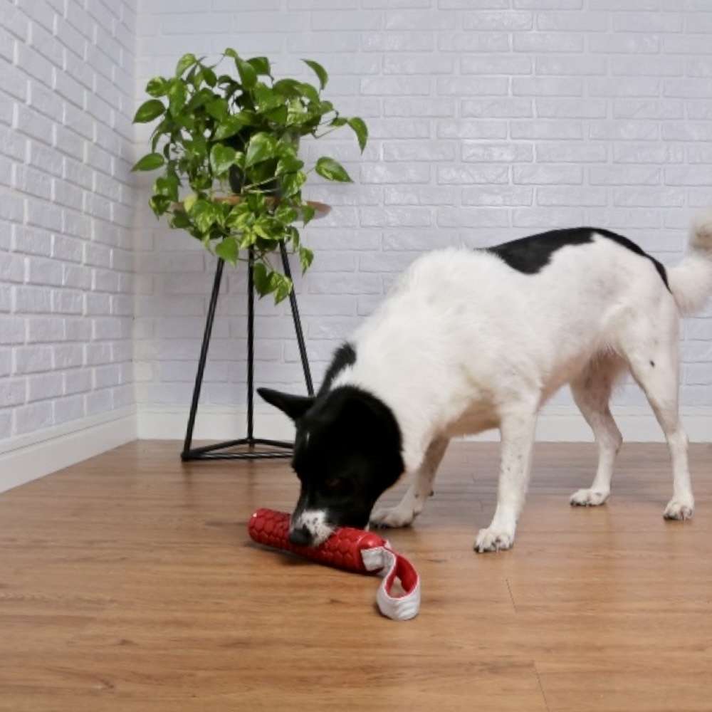 Brinquedo Mordedor Bumper Regular Vermelho para Cães - Tam. Único