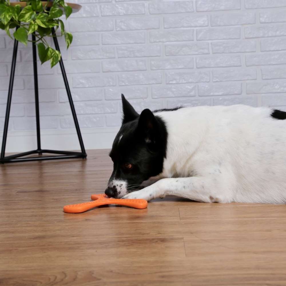 Brinquedo Mordedor Frisbee Propeller Regular Laranja para Cães - Tam. Único