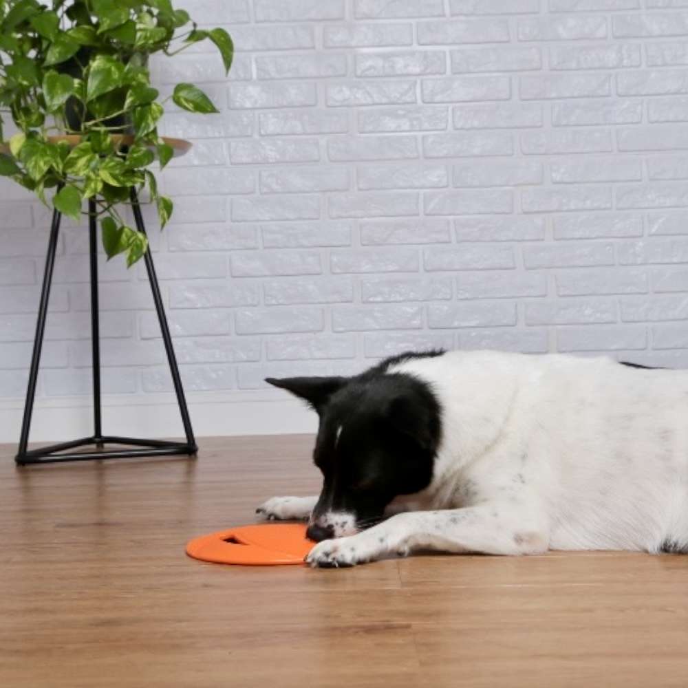 Brinquedo Mordedor Frisbee Flyer Laranja para Cães - Tam. Único