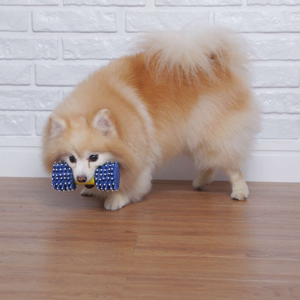 Brinquedo Chalesco Halteres para Cães - Tam. Único