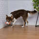 Brinquedo Odontopet Osso Bone Flexi Laranja para Cães