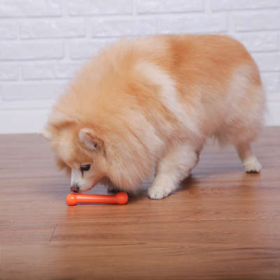 Brinquedo Odontopet Osso Bone Flexi Laranja para Cães