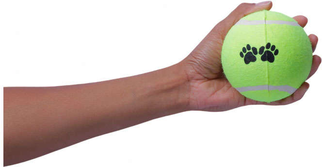 Brinquedo Chalesco Bola de Tenis 2 Unidades para Cães - Tam. G