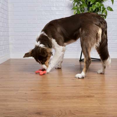 Brinquedo Odontopet Osso Flexi Flat Laranja para Cães