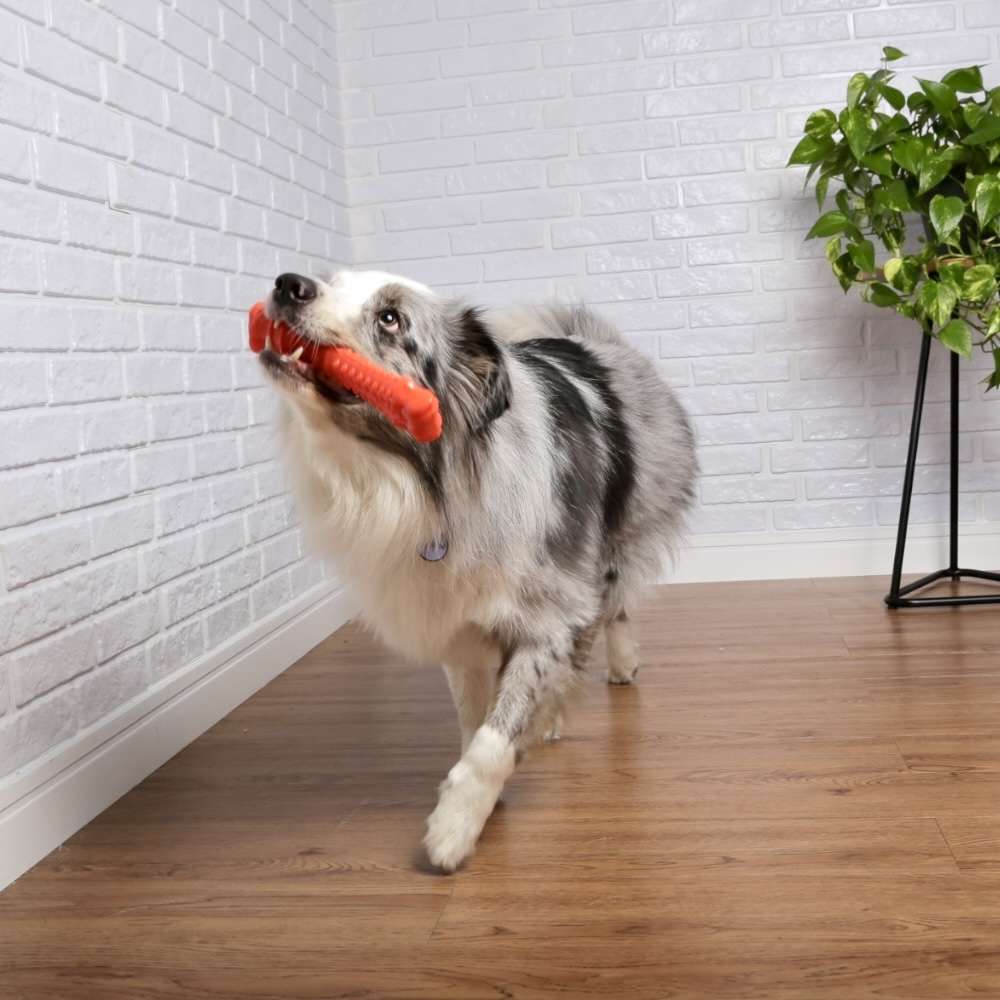 Brinquedo Odontopet Flexi T.Bone Laranja para Cães - Tam. G