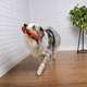 Brinquedo Odontopet Flexi T.Bone Laranja para Cães