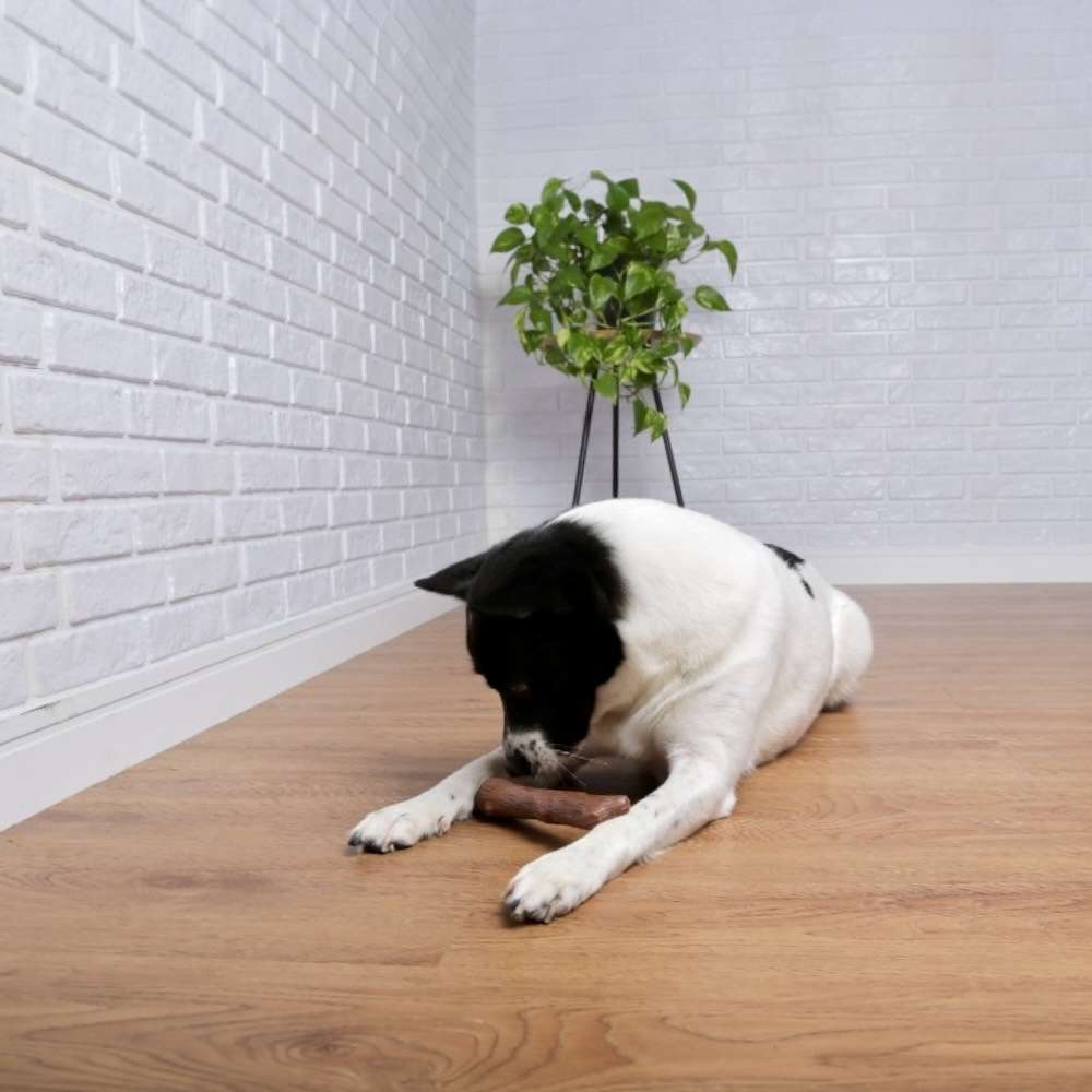 Brinquedo Odontopet Flexi Tronco para Cães - Tam. G