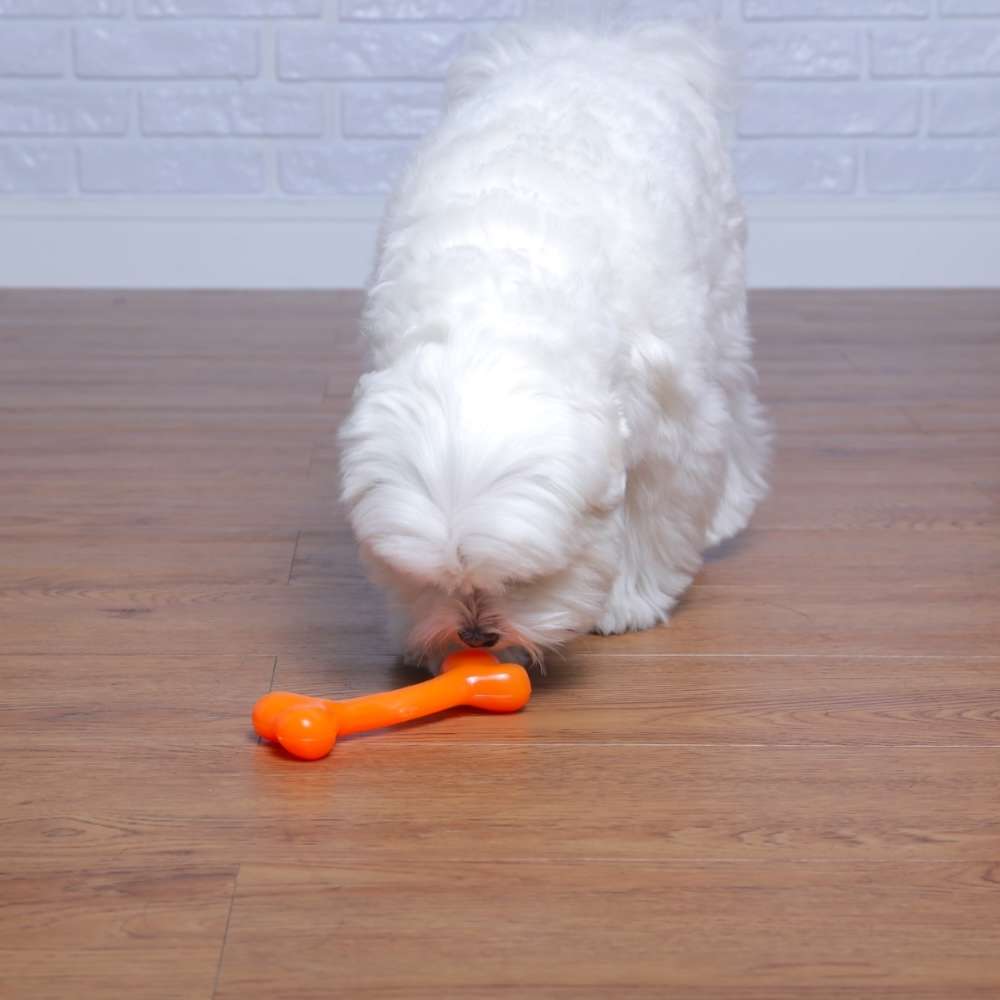Brinquedo Odontopet Osso Laranja para Cães Sênior - Tam. P