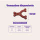 Brinquedo Odontopet Dura Wishbone Nylon para Cães