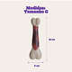 Brinquedo Chalesco Durabone para Cães
